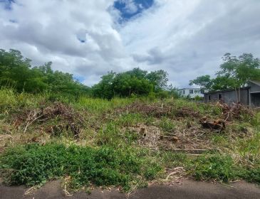 Residential Land for Sale in Balaclava at Rs 4,975,000
