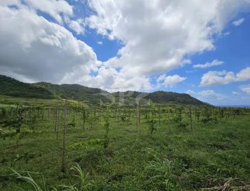 Agricultural Farm for Sale in Surinam – Sea and Mountain Views