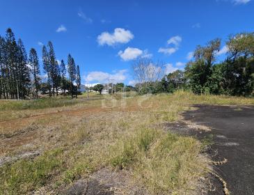 Prime Freehold Land for Sale in Moka